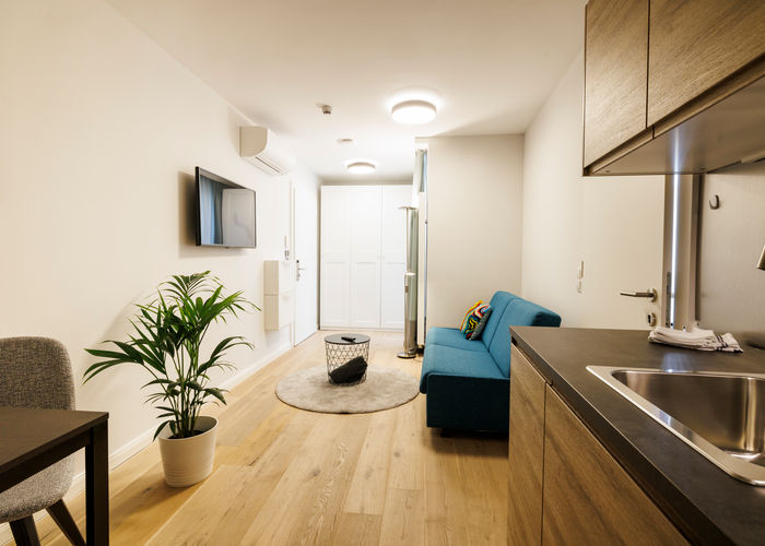 The well-equipped kitchen-living room in the Apartment.