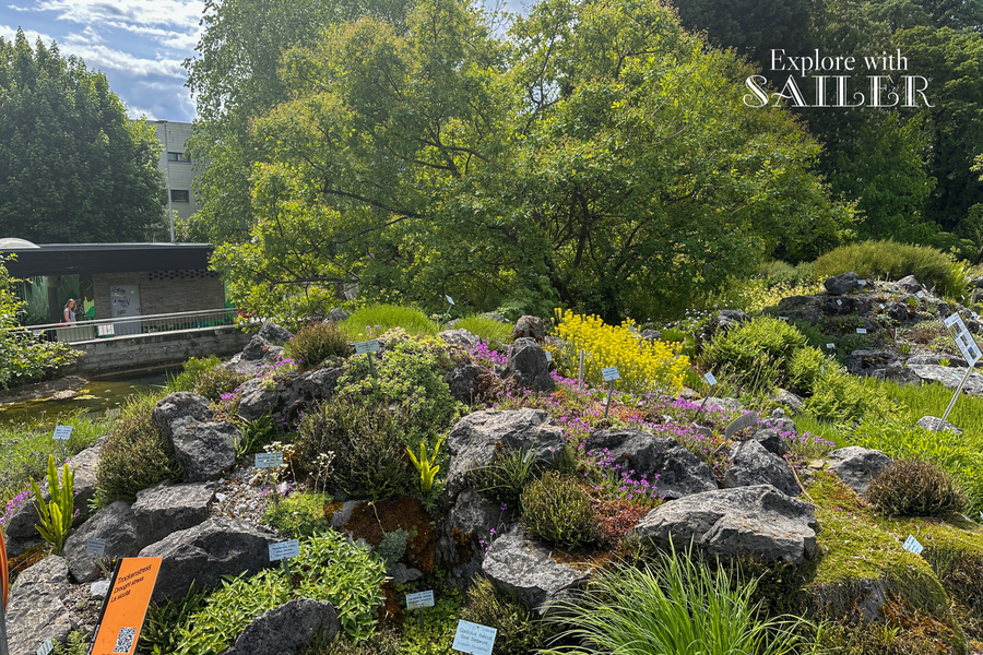 Steingarten mit alpinen Pflanzen und blühender Vegetation im Botanischen Garten bei sonnigem Wetter.