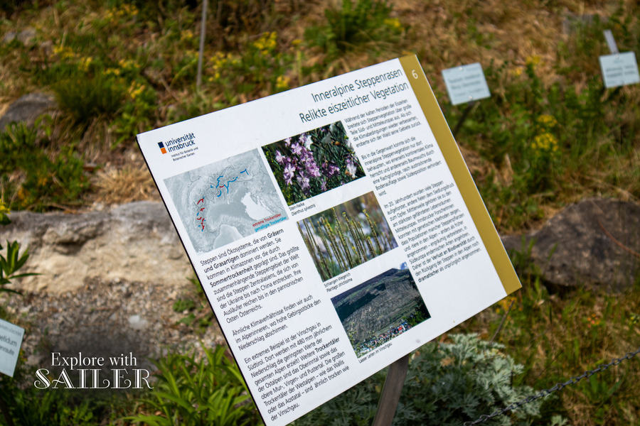 Lehrtafel mit Bildern und Informationen über inneralpine Steppenrasen im Botanischen Garten.