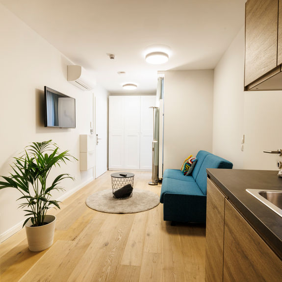 The well-equipped kitchen-living room in the Apartment.