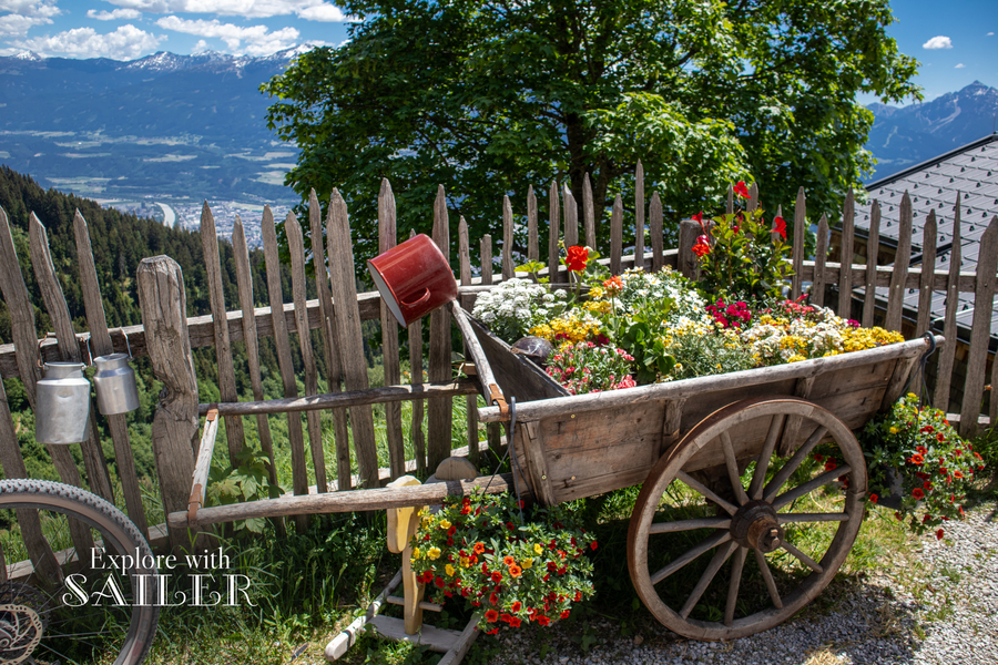 Historischer Holzwagen mit bunten Blumen vor der Höttinger Alm und Blick über Innsbruck.