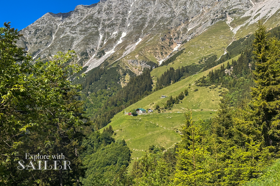 Blick auf die Höttinger Alm auf einer grünen Bergwiese unter den Gipfeln des Karwendelgebirges.