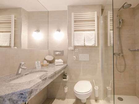 Vista nel bagno della camera Basic dell'Hotel Sailer Innsbruck con una doccia, un WC e un grande lavabo