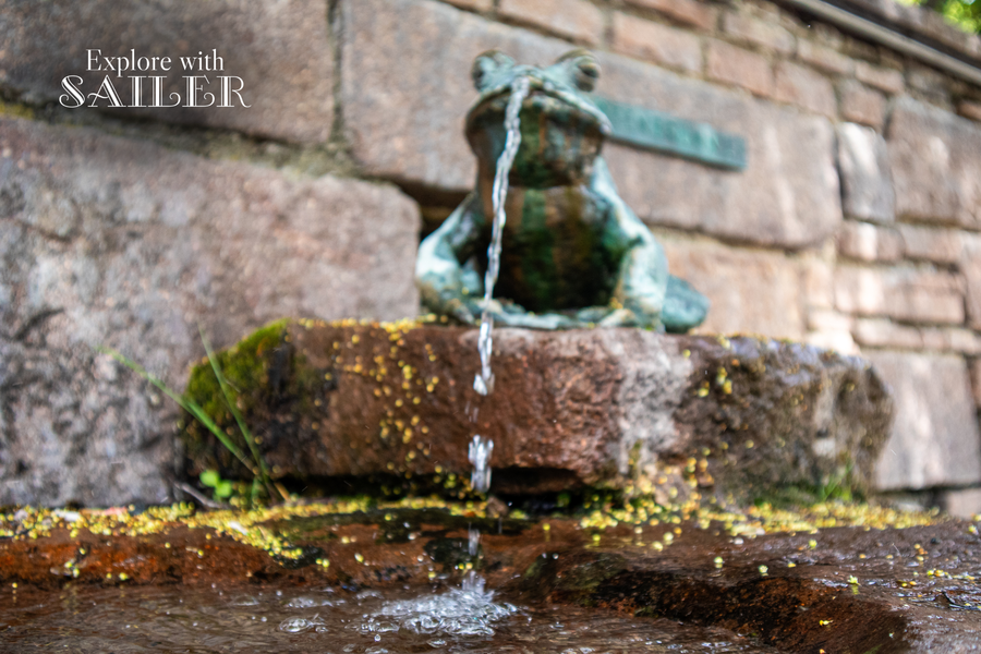 Kleiner Brunnen mit einer Froschfigur, aus deren Mund Wasser fließt, vor einer Steinmauer im Botanischen Garten.