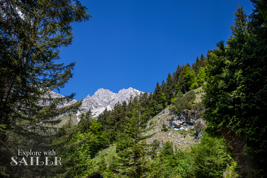 Waldlandschaft entlang des Wanderwegs zur Höttinger Alm mit Blick auf die Gipfel des Karwendelgebirges.