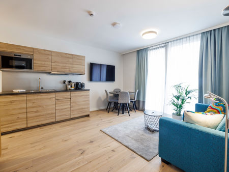 The modern, fully equipped kitchen-living room in the Deluxe Plus Apartment.