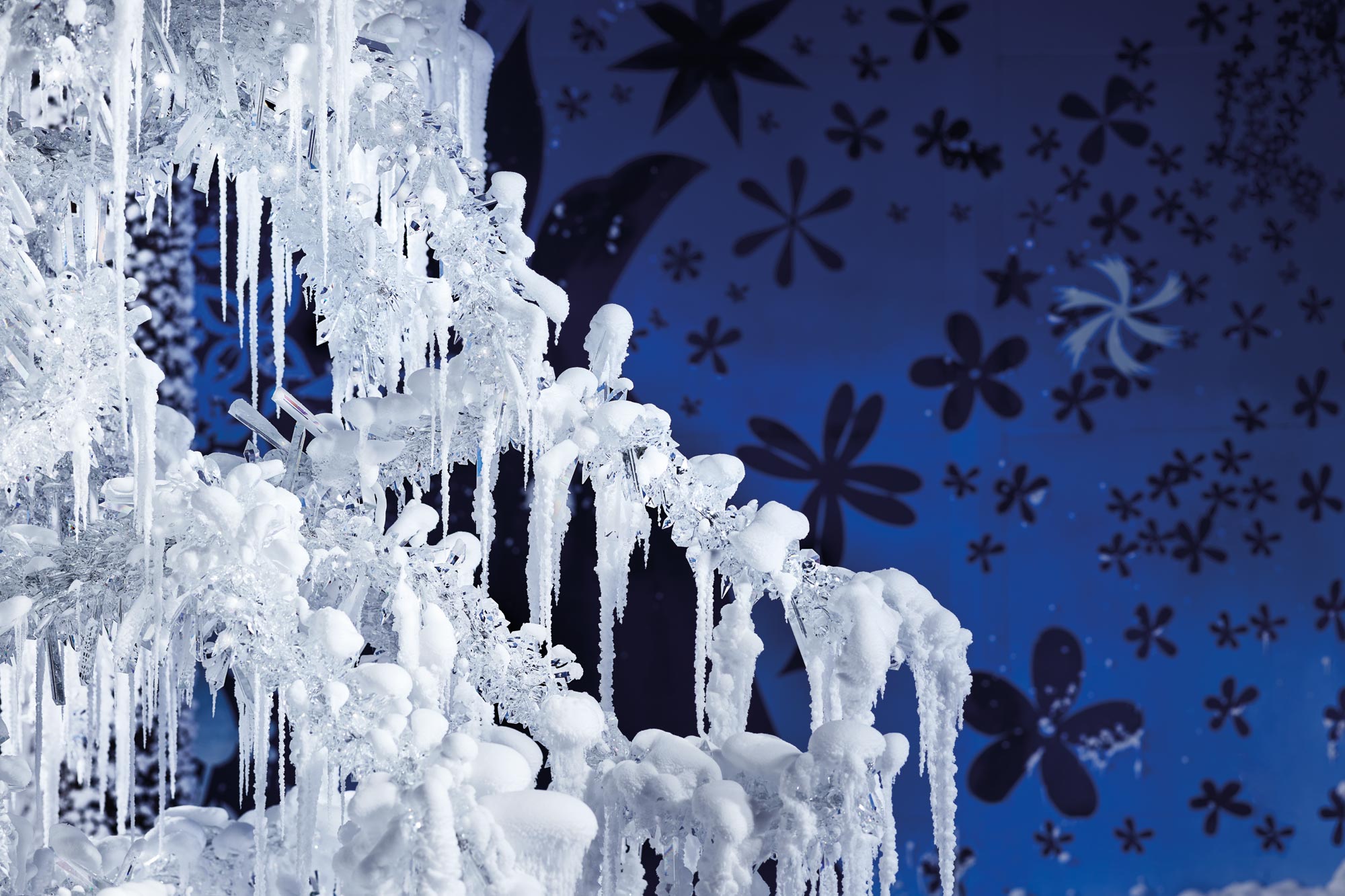 Formazioni di ghiaccio davanti a una parete blu con motivi floreali e fiocchi di neve.