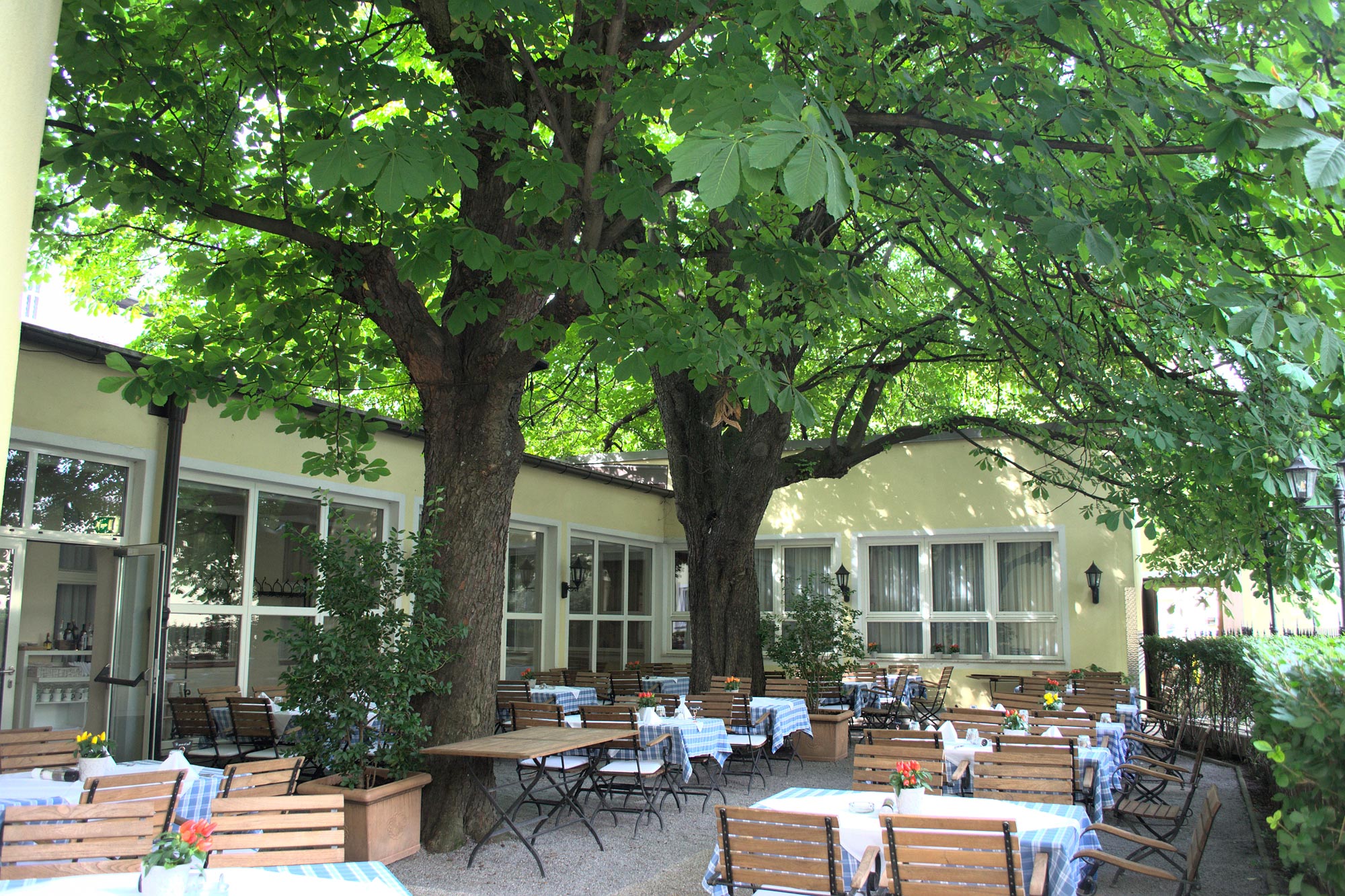 Schattiger Außenbereich mit Holztischen, blauen Tischdecken und großen Kastanienbäumen.